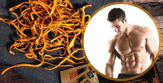 Tác dụng của đông trùng hạ thảo đối với nam giới