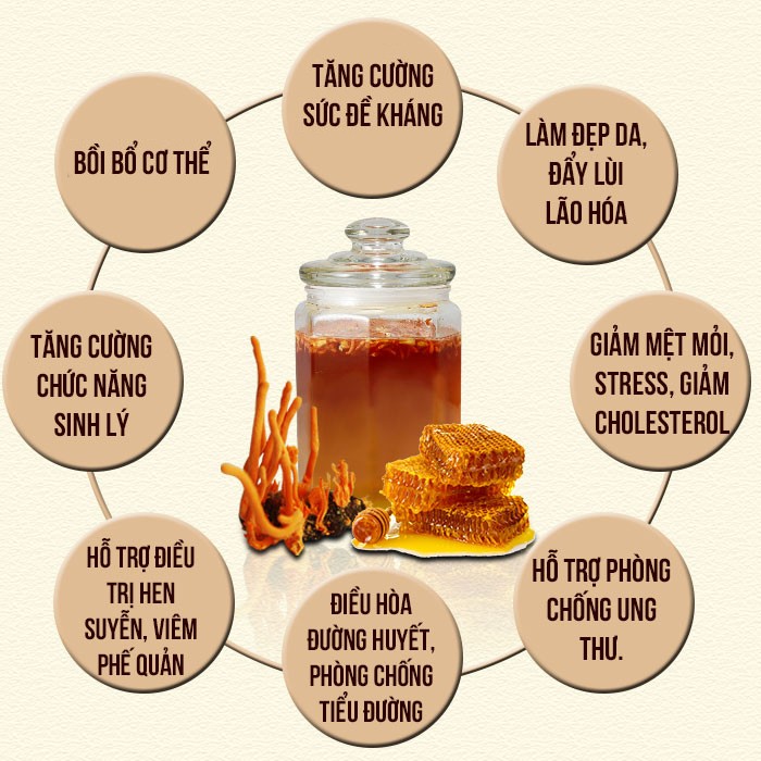 Lợi ích kỳ diệu của đông trùng hạ thảo