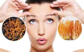 Đông trùng hạ thảo đối với phụ nữ
