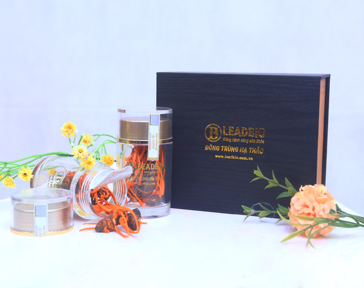 Cung cấp đông trùng hạ thảo nguyên con chất lượng tại Nam Định