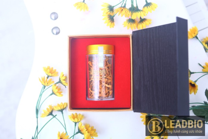 Bán nấm đông trùng hạ thảo tại Đà Lạt