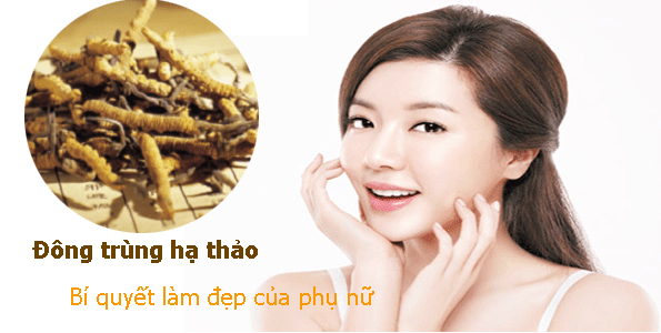 Đông trùng hạ thảo ngăn ngừa lão hóa ra sao?