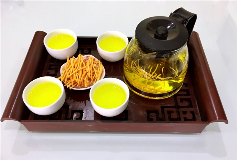 cách sử dụng đông trùng hạ thảo hiệu quả nhất